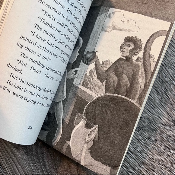 📚 Lot of 4 Magic Treehouse books!! - Picture 6 of 6